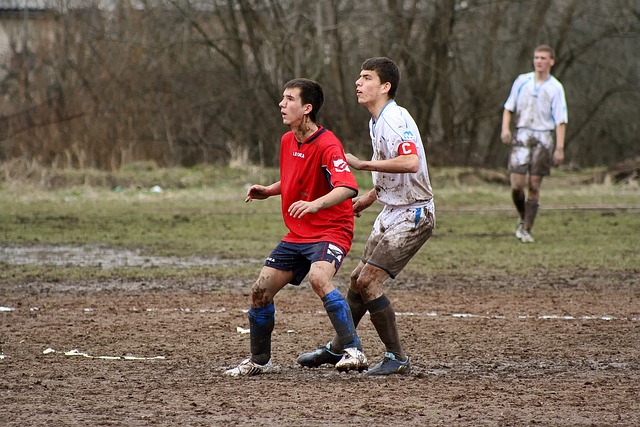 迪遜的組織 迪遜的組織