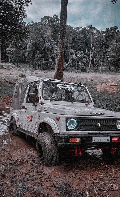 西蒙斯这样 西蒙斯这样