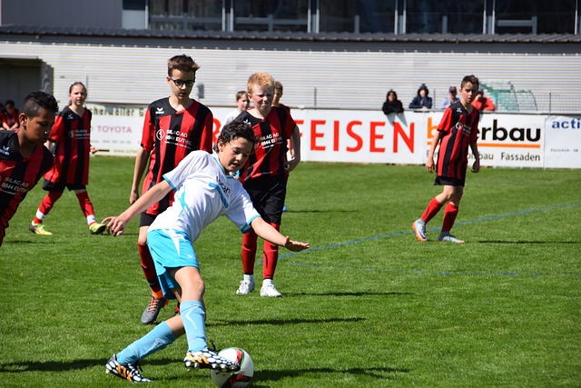 化的重要窗 化的重要窗