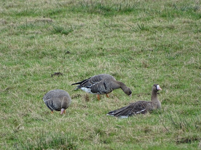而不是单一 而不是单一