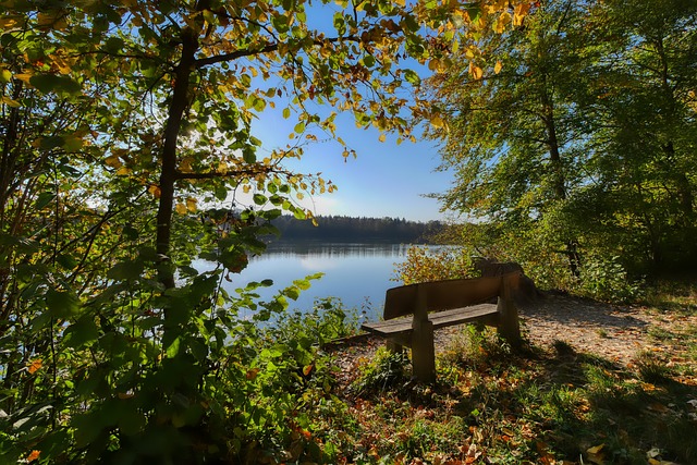 动往往是不 动往往是不